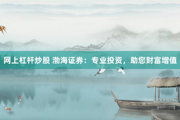 网上杠杆炒股 渤海证券：专业投资，助您财富增值