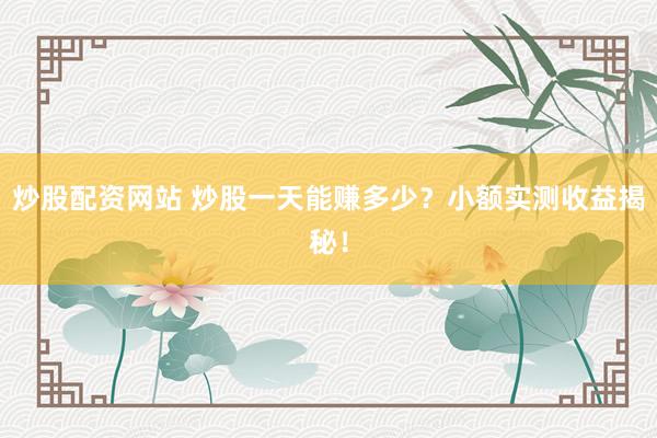 炒股配资网站 炒股一天能赚多少？小额实测收益揭秘！