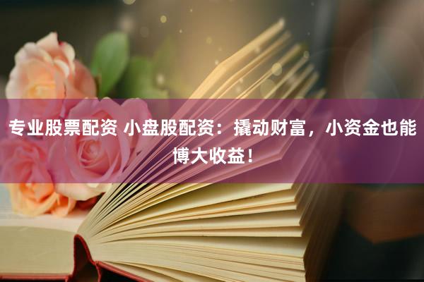 专业股票配资 小盘股配资：撬动财富，小资金也能博大收益！