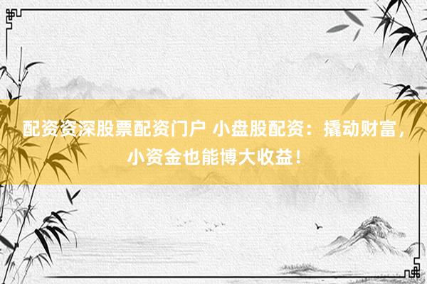 配资资深股票配资门户 小盘股配资：撬动财富，小资金也能博大收益！