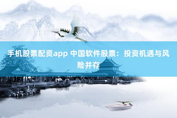手机股票配资app 中国软件股票：投资机遇与风险并存