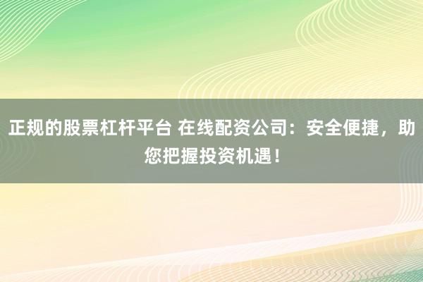 正规的股票杠杆平台 在线配资公司：安全便捷，助您把握投资机遇！