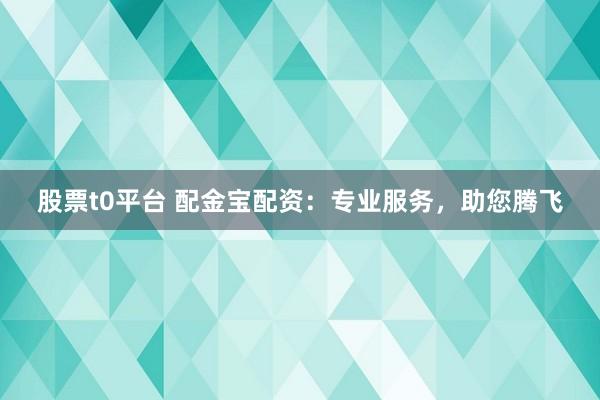 股票t0平台 配金宝配资：专业服务，助您腾飞